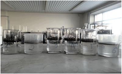 Improved sorbent for the removal of hydrocarbons spilled in water